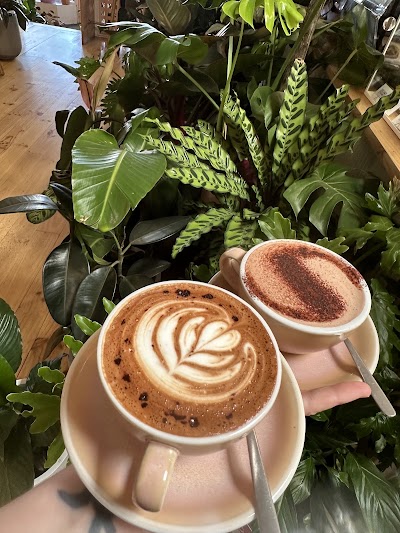 Oh Honey coffee