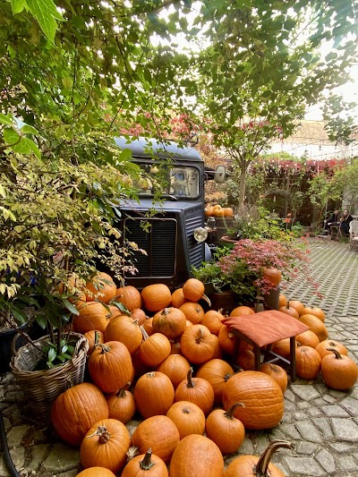 Botanica Coffee Truck atmosphere