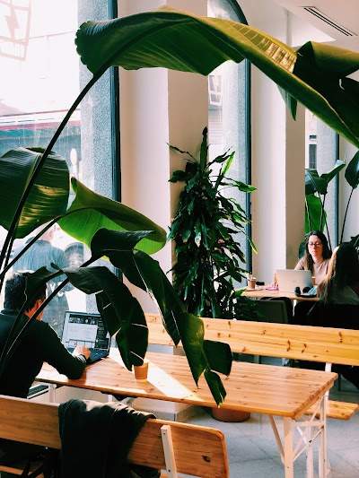 Itnig Café atmosphere