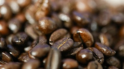 Vettore Coffee coffee
