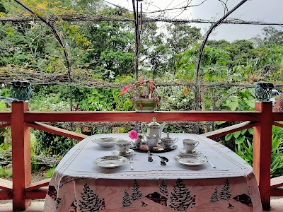 Colibrí café de especialidad de Panamá coffee