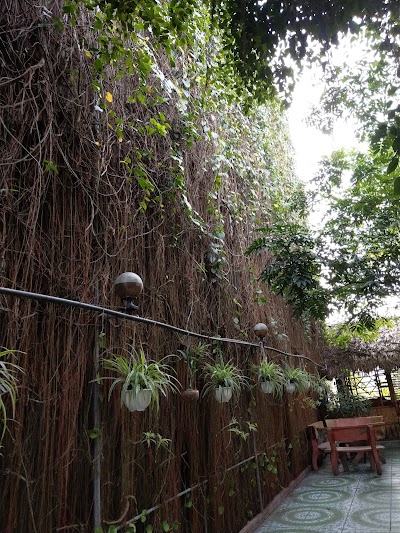 Cà Phê Thành Lộc atmosphere