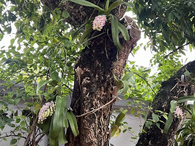 Cafe Lê Hồng Phong atmosphere
