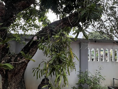 Cafe Lê Hồng Phong coffee