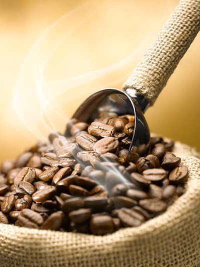 BOTANICA Coffee Experience coffee