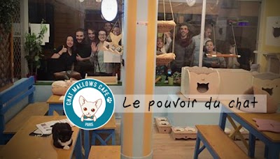 Chat Mallows Cafe atmosphere