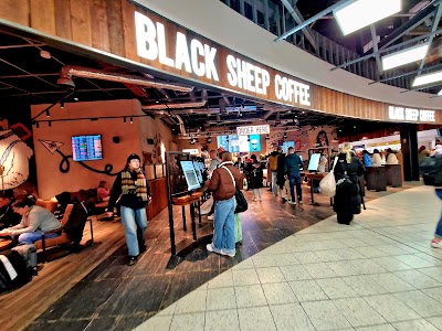 Interior of Black Sheep Coffee - London Luton Airport in LU2 9LU