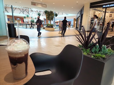 Interior of Gloria Jean's Coffees in Illinois 60061