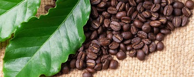 Coffee Sun Mitteldeutschland