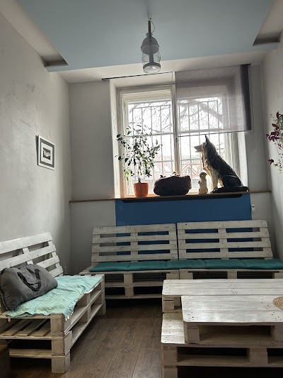 Punta's Dog-themed Sweet Shop atmosphere