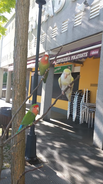 Pikatoste coffee